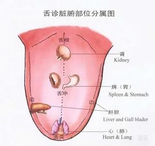 舌头裂口子是怎么回事?_裂纹_因为_舌苔