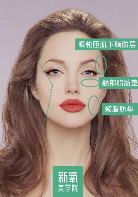 脂肪_流失_柳智敏