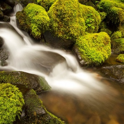 原创我是百花园中的赏花人你只是园中的一点红