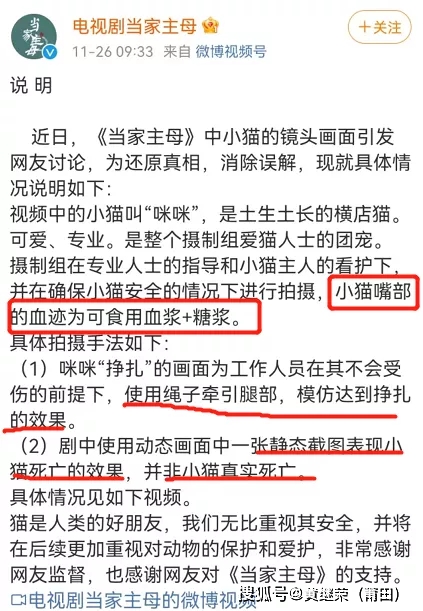 猫咪|于正“虐猫”事件升级：他犯的错，远没有这么简单