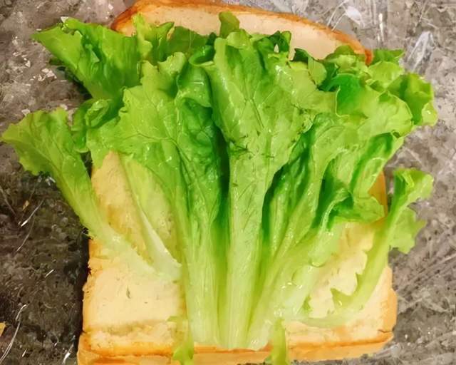 植物|快手早餐 - 三明治