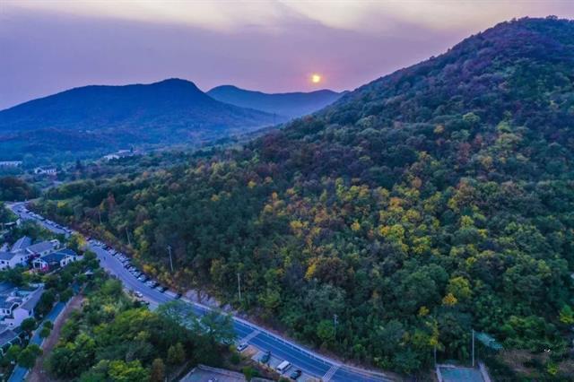 南京有一老山,被赞"南京绿肺",十分清幽,解压首选地!_风景_时候_才能