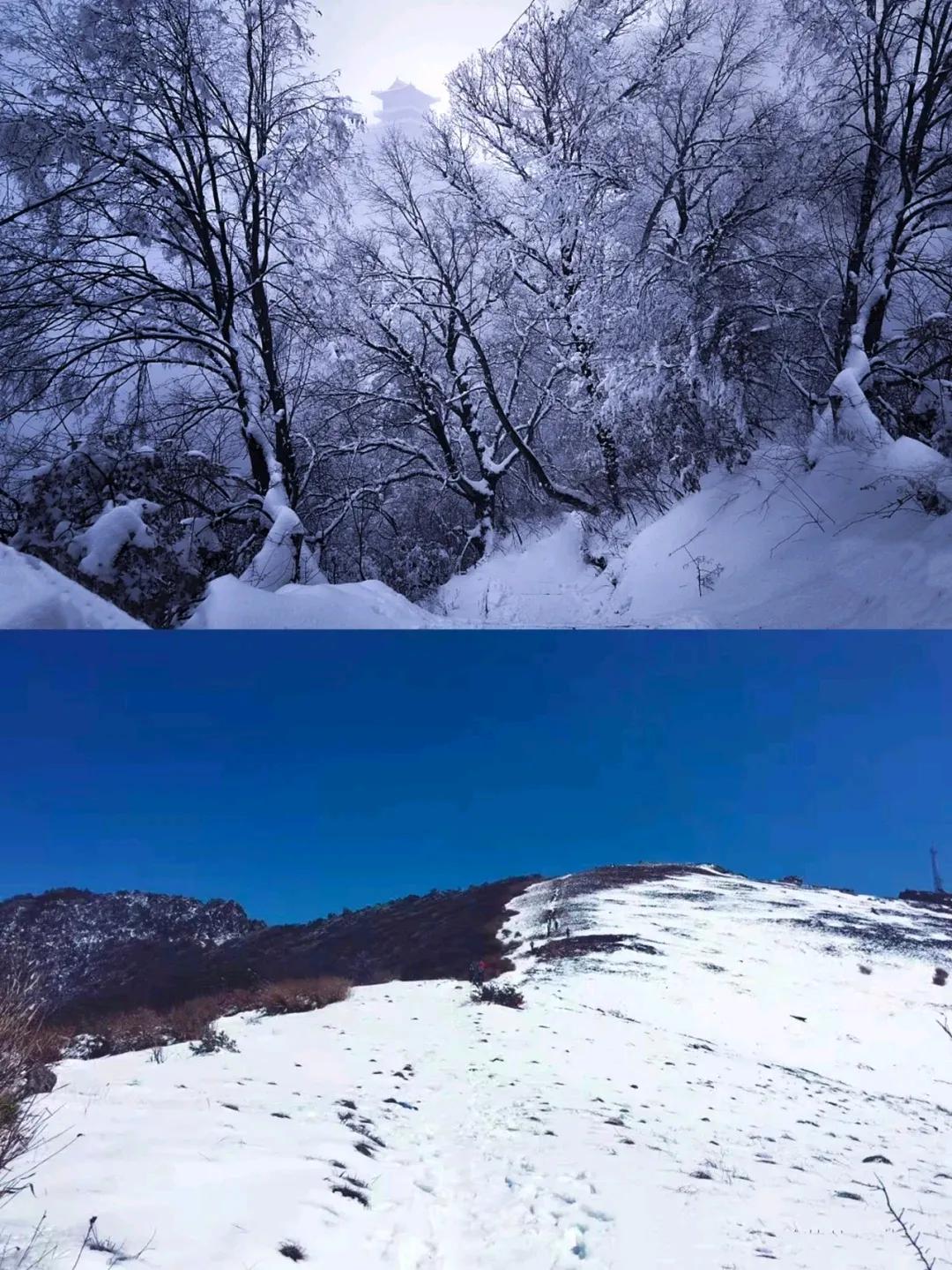 南山脊為東西走向可謂經典穿越線路等不同景觀帶漸次分佈其間原始森林