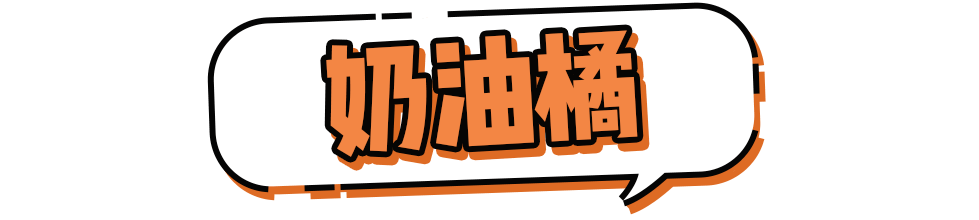 酒庄 2021秋冬流行色来了！这样搭配好看又高级