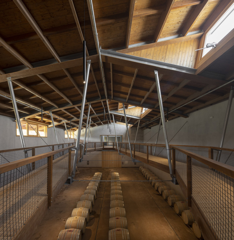 酿酒|Taboadella酒庄,破旧库房涅槃成葡萄牙美酒传承者