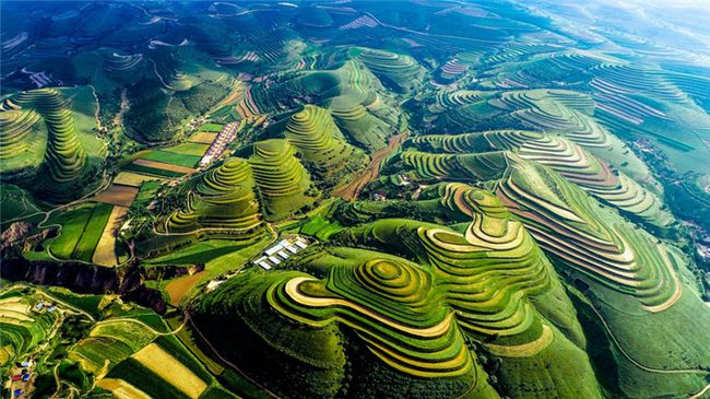 庆阳五年成就之五生态建设黄土塬变身绿土地