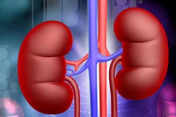 治疗|治疗肾病三步很重要,肾友你做到了几个?