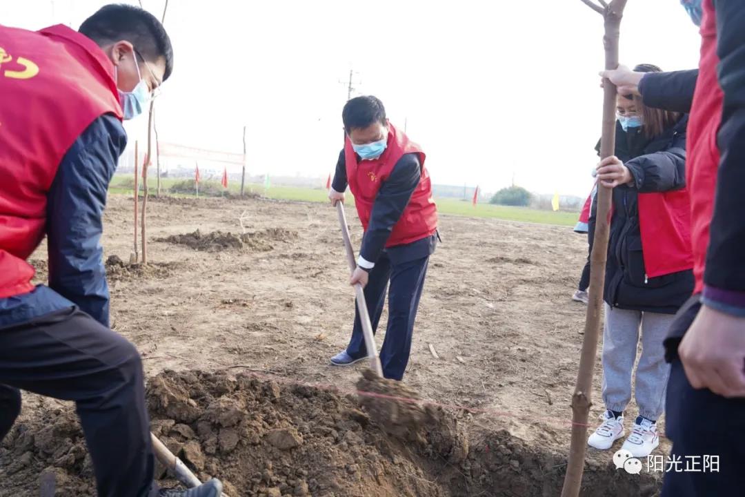 正阳县领导"撸袖"添新绿_活动_绿化_建设