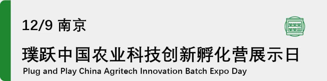 全球|12月拍了拍你：过去的一个月，我们都在忙些什么？