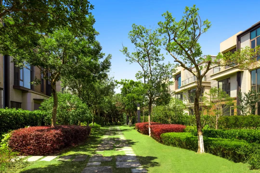 上海四大古镇联排别墅嘉涛湾开发商稀缺珍藏房源汤臣一品设计师打造