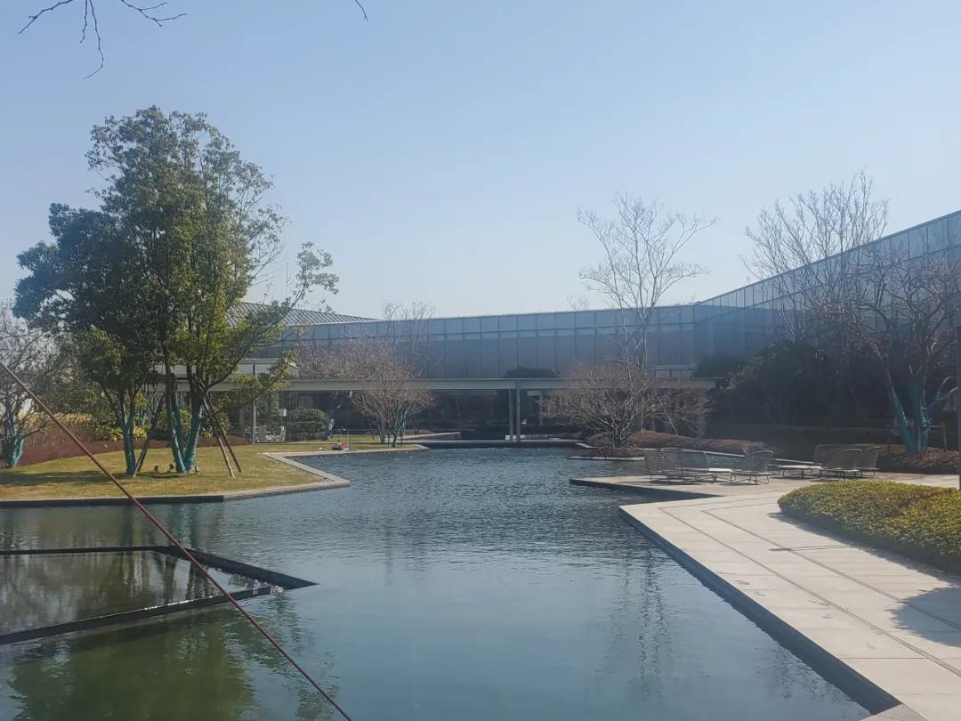 上海浦东新区融创金融城爆炸新闻售楼处独家消息背后原因真相震惊了