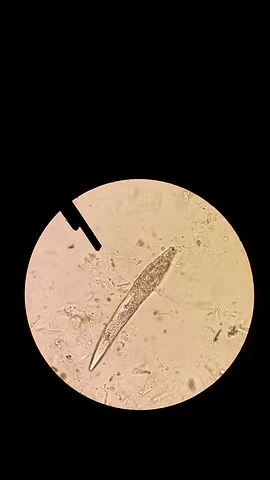 b0588bc5851047e0a51929b9c67615d6.png