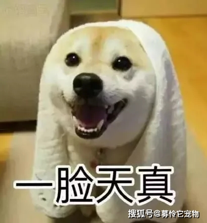 4a613cc2dca74c7e85dcaa90e80e0cf8.jpeg