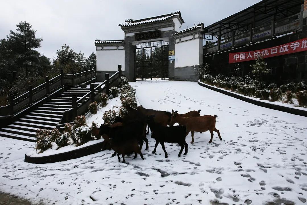 雪景|你还记得腾冲那些年的雪吗