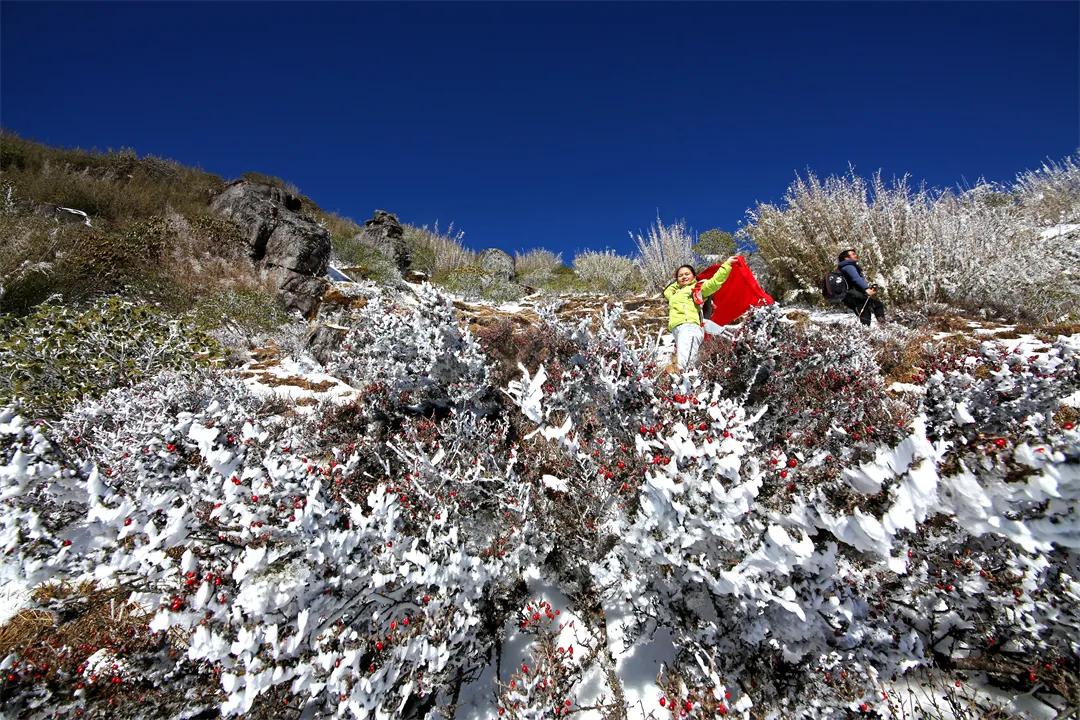 雪景|你还记得腾冲那些年的雪吗