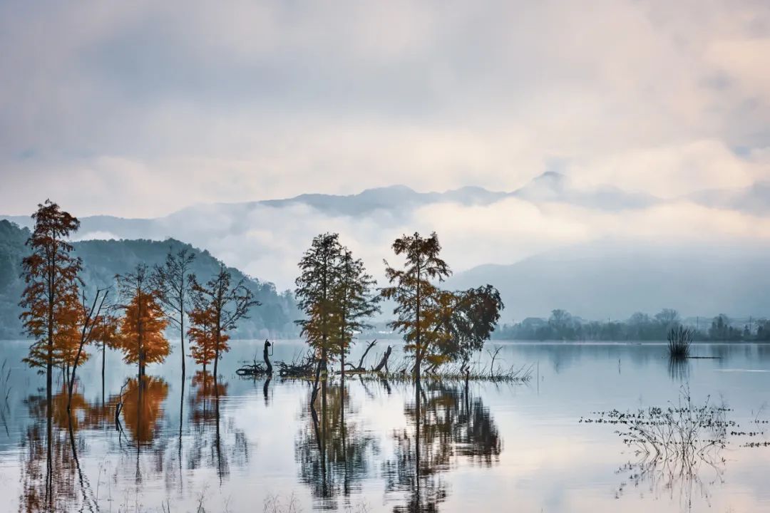 瞬间|不要太美！旅图胜景，动人瞬间，看看你最钟意的风景在哪里？