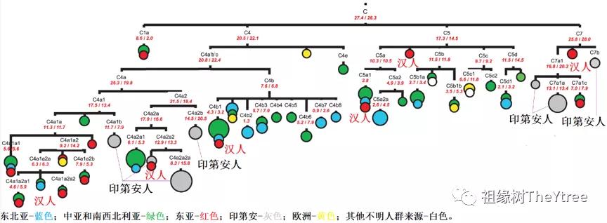 殷地安陽人dna解開中國人和印第安人的共祖年代之謎