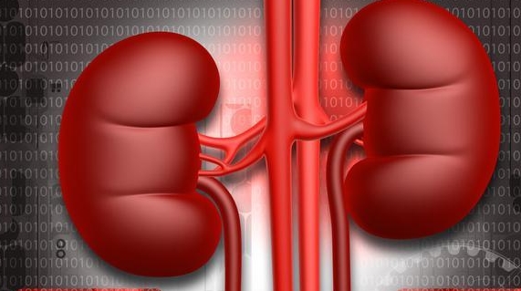 治疗|预防尿毒症，2项措施最为关键，可惜不少肾友没做到