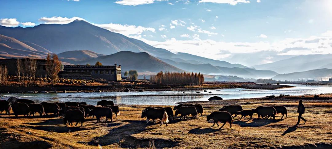 瞬间|不要太美！旅图胜景，动人瞬间，看看你最钟意的风景在哪里？