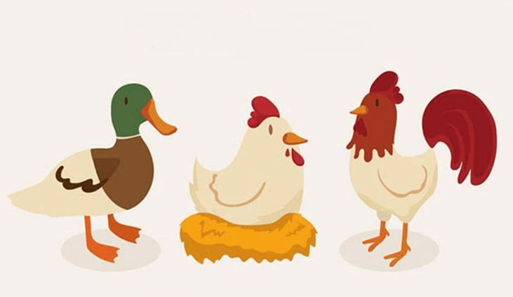 白肉多指"两条腿"的主禽肉和水产品,比如鸡鸭鹅鱼虾.