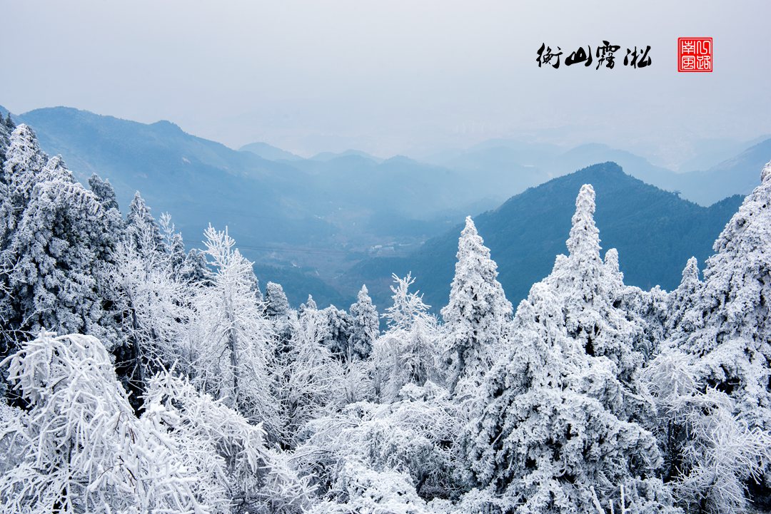 广东|湖南也能看到雾凇，就在南岳衡山，太美了！