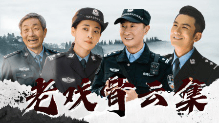 俞嘉|《民警老林》林永健、梅婷强强联合，剧情接地气，肖顺尧演技出色