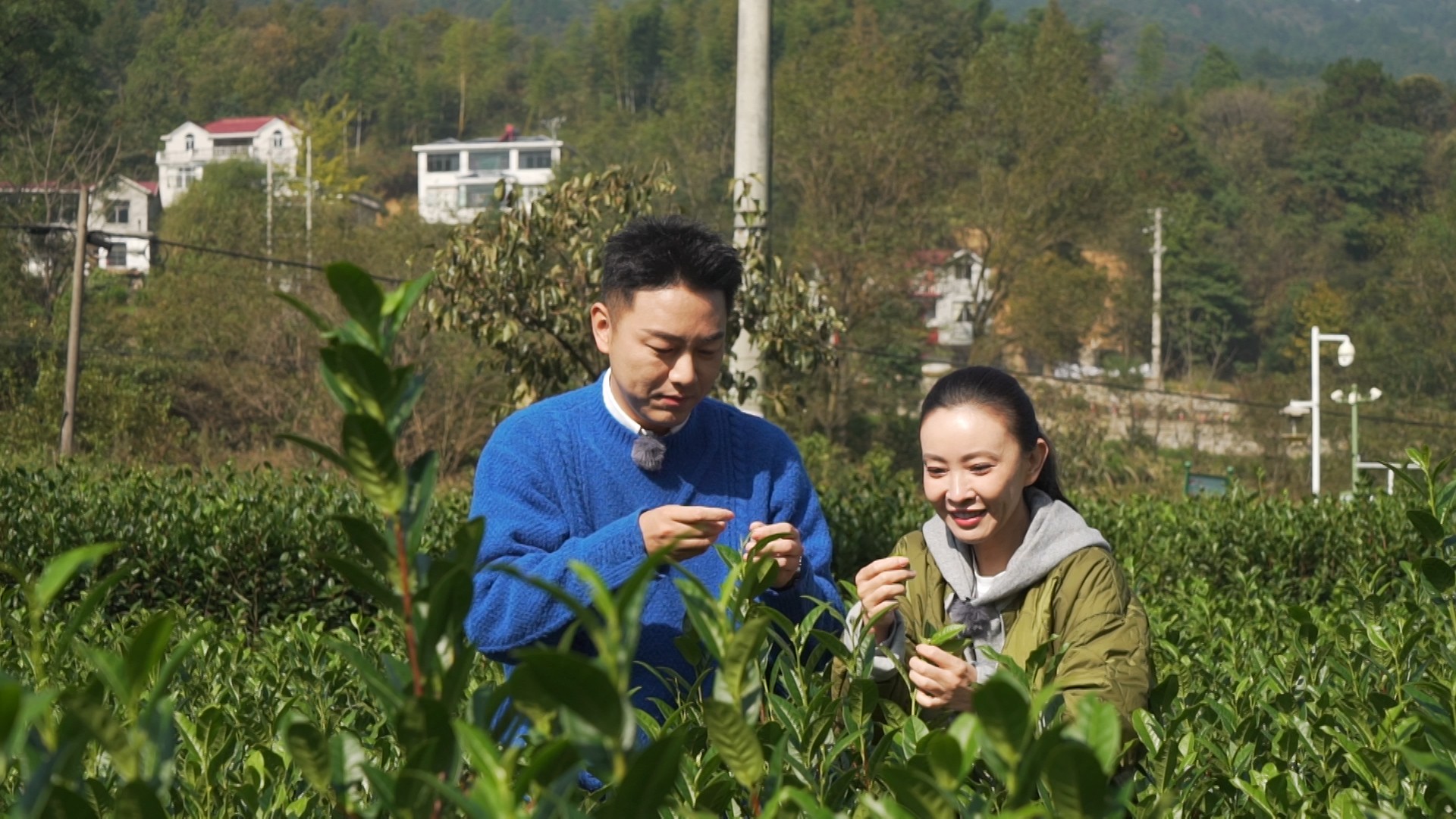 美好的星城第六期走进希望之城金寨来一场养心之旅