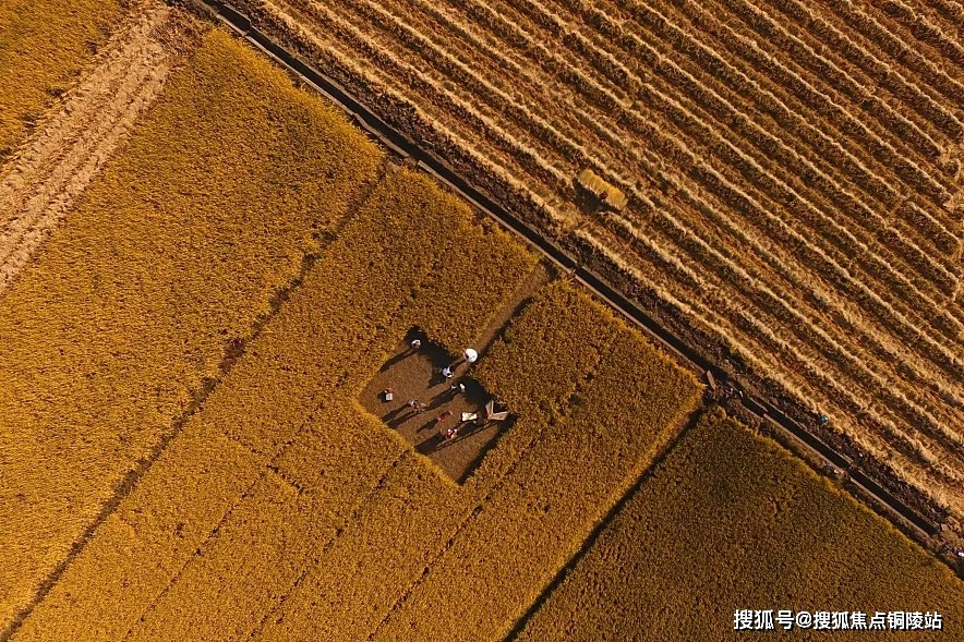 蓝城春风乐田璟月湾硒谷蓝城春风乐田璟月湾楼盘介绍蓝城春风乐田璟月