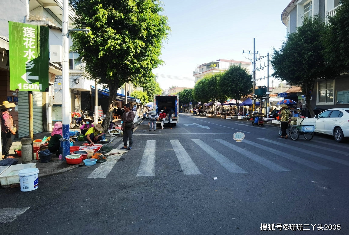 广州这个在国家级渔港内的“鱼墟”，天天有“鲜”食材，非常热闹