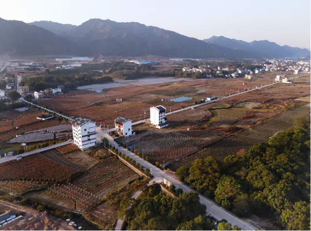 桂林资源县中峰镇田园风光,冬季的金色大地,美极了!_资江_冬日_地势