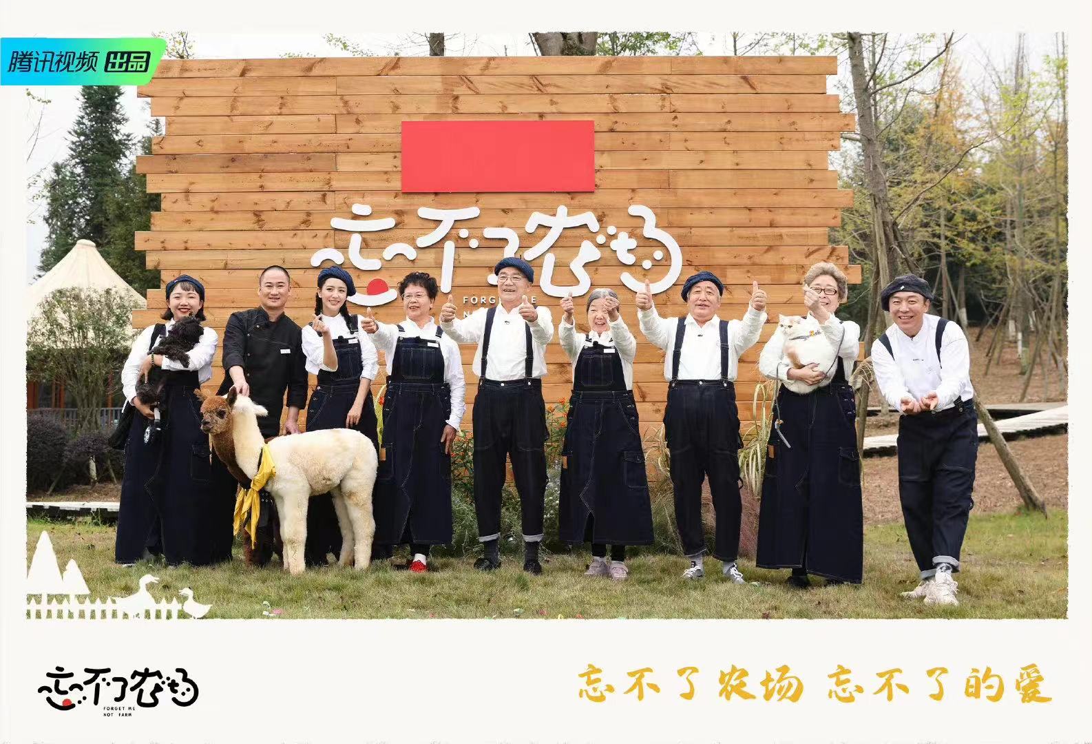 "忘不了农场"已正式营业,在这片青春农场又会发生哪些温暖欢乐的故事