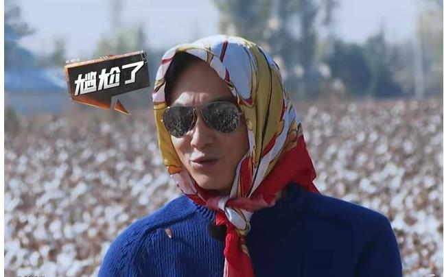 陈小春|《滚烫人生》超前企划，40分钟信息量大，观众：这不又是王炸吗？