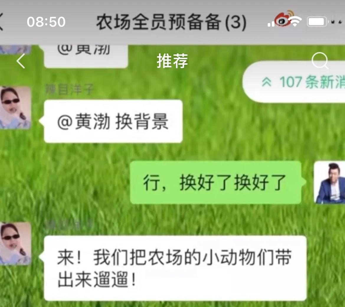 什么|佟丽娅综艺开播前花样百出，黄渤长得显老什么体验，颜值略胜杨迪