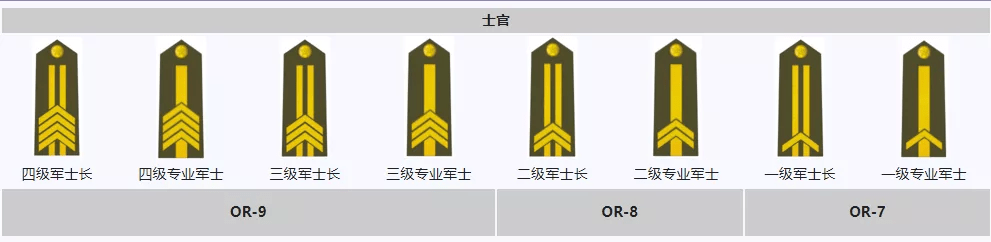 一級軍士長_士官長_軍銜