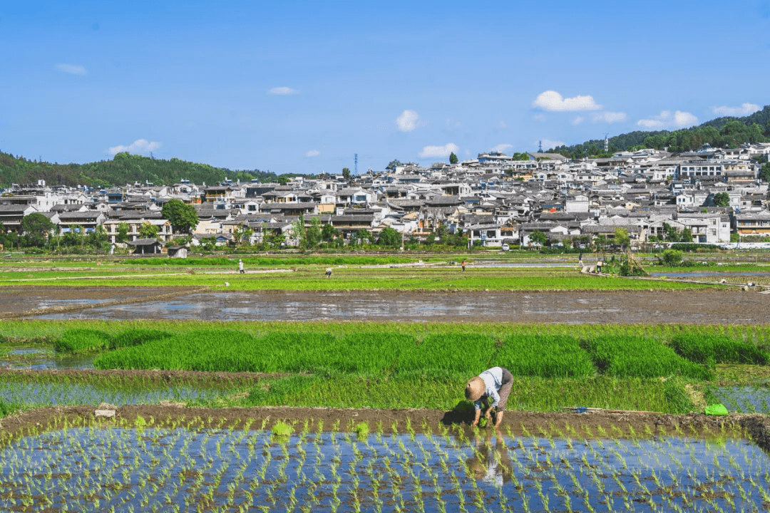 田园|栖居在腾冲过诗意生活