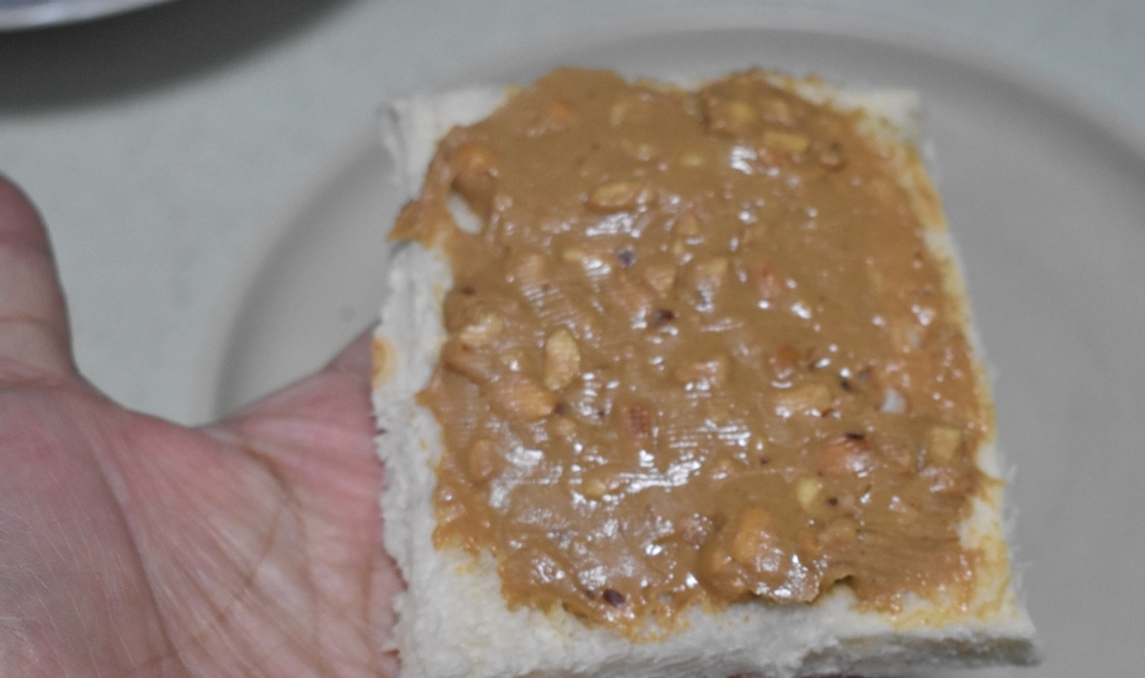 牛奶|两口子的极简早餐,不精致但营养美味,简单又方便,赶快试试吧