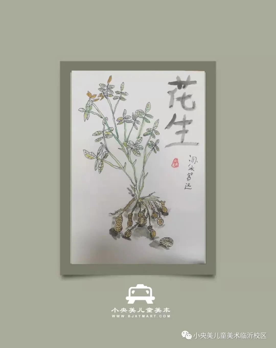 小班|小央宝：【展示】小央宝10月份部分作品回顾