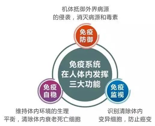 nk细胞:防癌抗衰利剑,时刻保持战斗状态