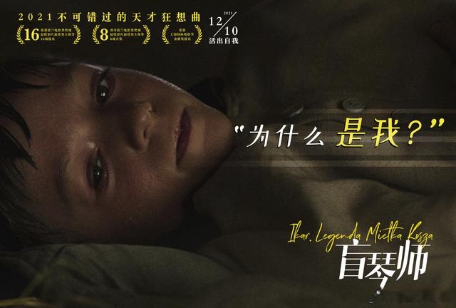 好片|年度压轴口碑好片预定！波兰电影《盲琴师》感动上映让鲁豫破防