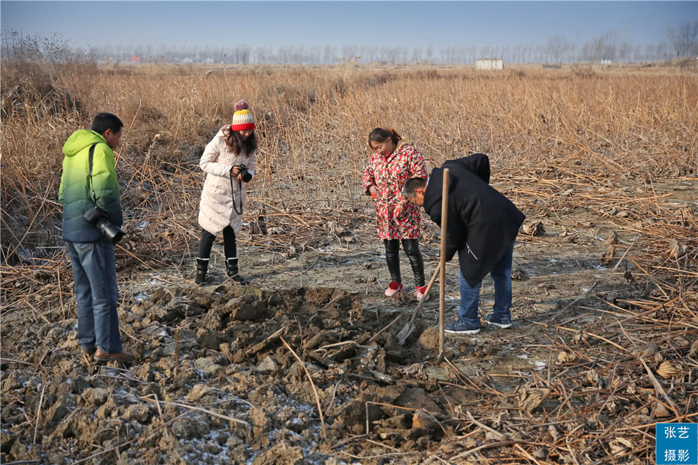 韩徐庄村|中原大地、黄河岸边贫困村，华丽转身成民宿村，旧貌换新颜！