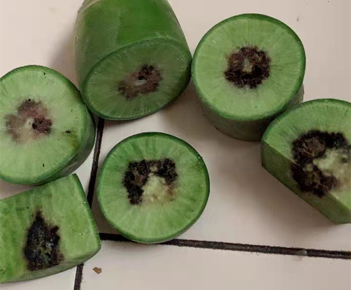 萝卜糠了还能不能吃?对身体有无危害?