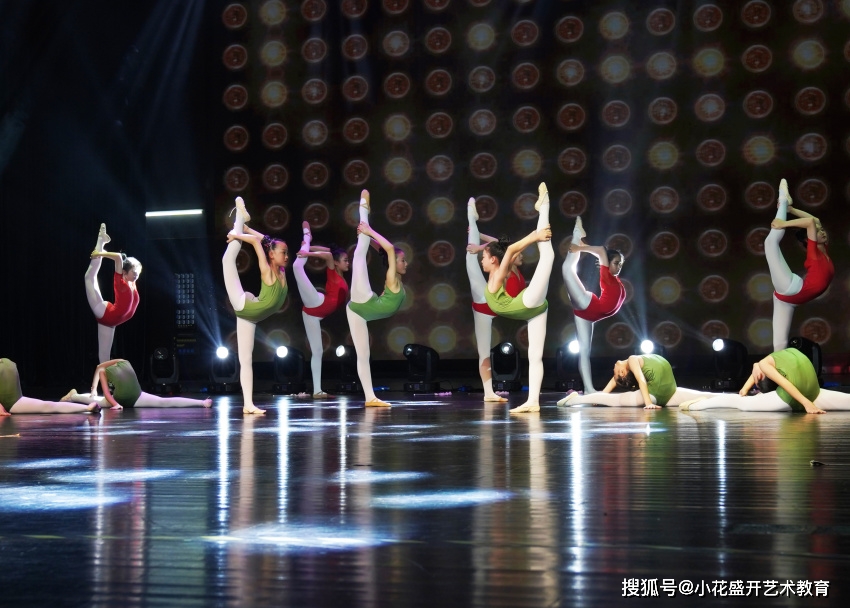 怎么开心怎么过舞蹈 5e1564d81f4241a1b9fb187fce5e4106.jpeg