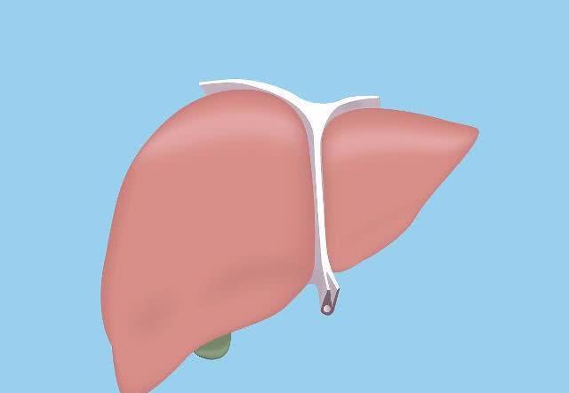 肝脏|晚上睡觉时，如果身体没有这4个表现，恭喜，肝脏保养的还不错