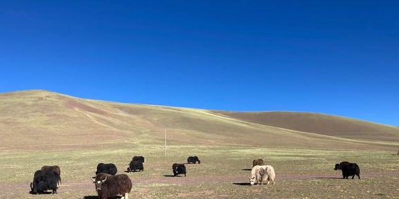 独闯新藏线D10，松西村到多玛乡，翻越公路最高点红土达坂