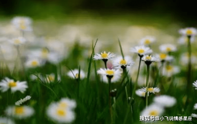 05dc709c57c74cb7982bc8b61a637c34.png