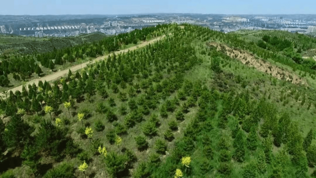 记者 杨娜)近年来,神木市自然资源和规划局围绕神木市国家级生态文明