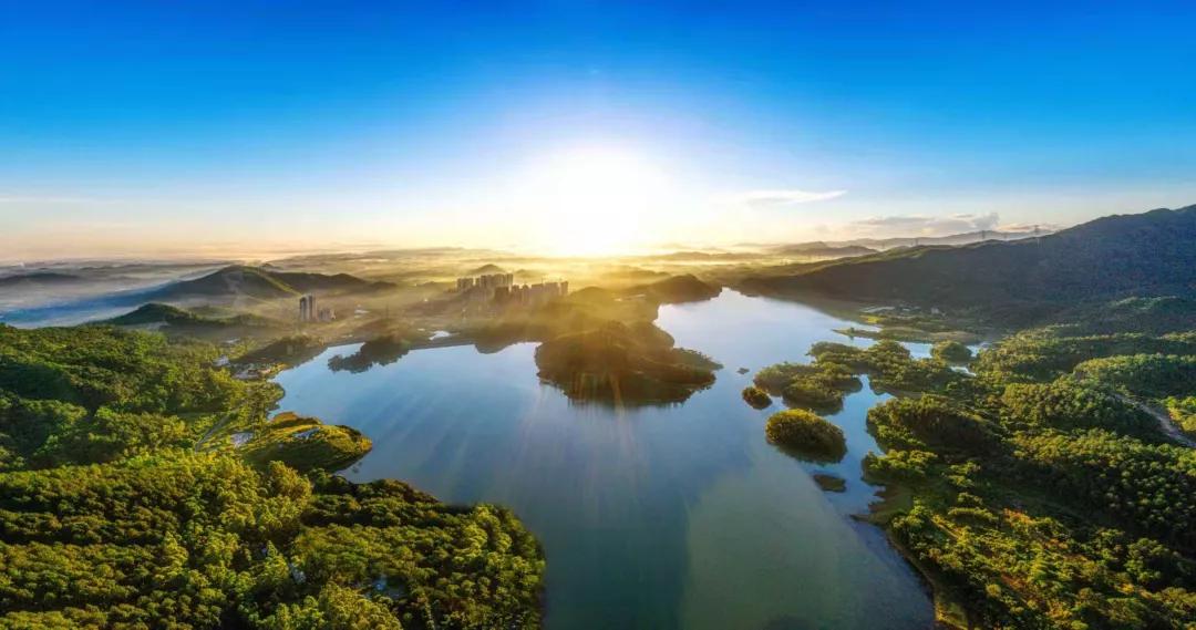 开发商邀请函泉林黄金小镇别墅官方网站