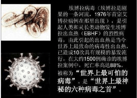 比新冠更可怕的病毒你瞭解嗎?_埃博拉_疫情_治療