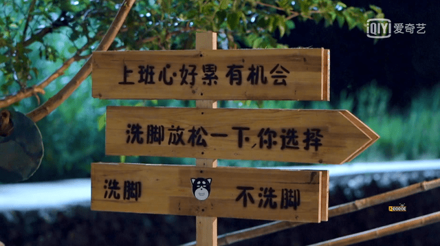 节目组|参与感极强！观众在线“支配”艺人，《五哈2》游戏玩出新感觉