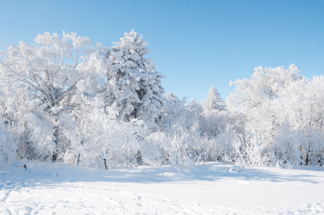 雪地|海峡两岸《我们心相连》